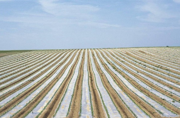 GB/T 35795-2017全生物降解地膜檢測項(xiàng)目及儀器