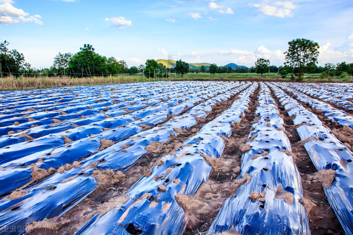 GB13735-2017聚乙烯吹塑農(nóng)用地面覆蓋薄膜測試項(xiàng)目及儀器介紹